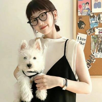 神探特伦特第三季